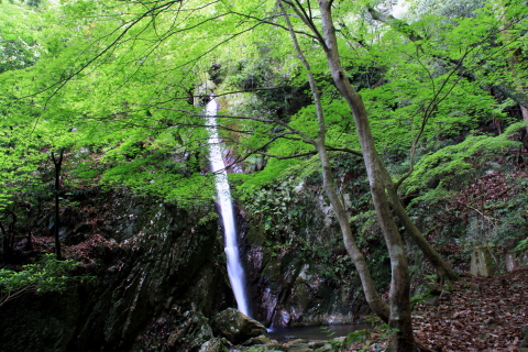 独鈷の滝