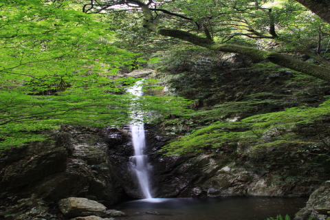 独鈷の滝