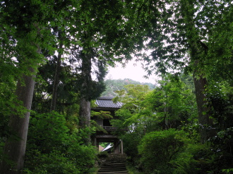 独鈷の滝